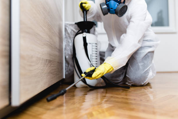 Pest Prevention Services in Carrollton, GA