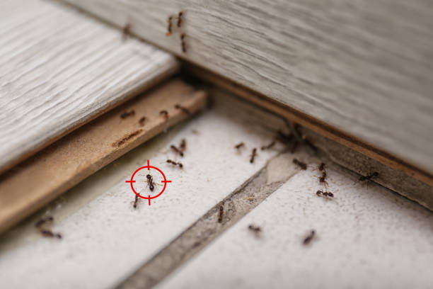 Carrollton, GA Pest Control Company