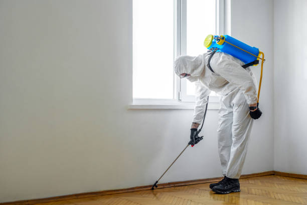 Best Exterminator Services  in Carrollton, GA