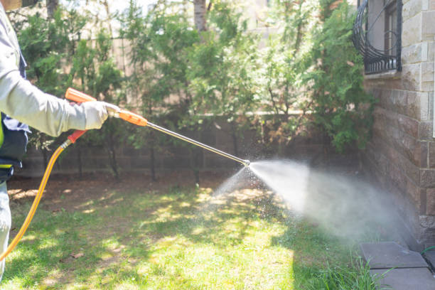 Best Affordable Pest Control Services  in Carrollton, GA
