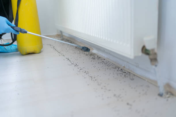 Best Emergency Pest Control  in Carrollton, GA