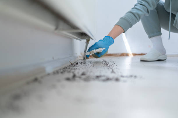 Best Mosquito Control Services  in Carrollton, GA