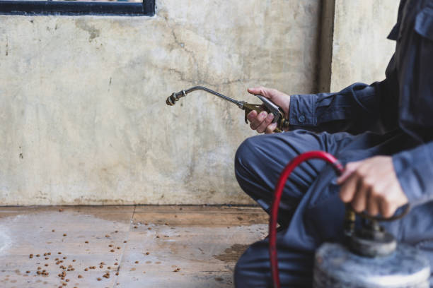  Carrollton, GA Pest Control Pros